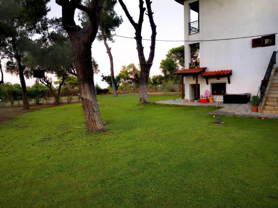Golden Summer Apartment Néa Fókaia Exterior foto